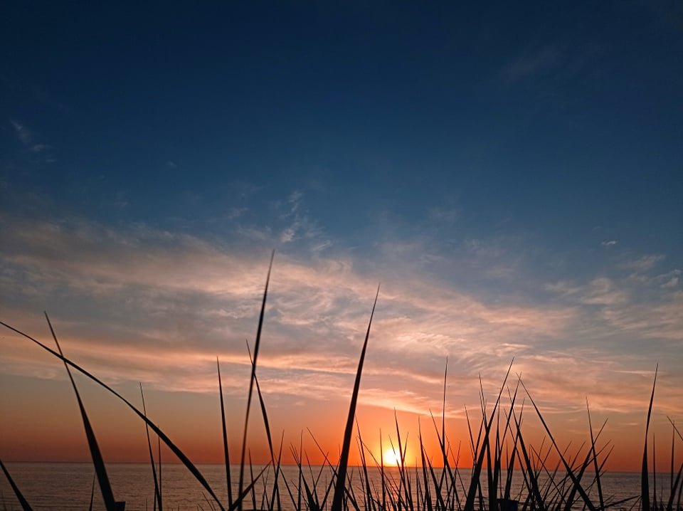 Inline Speed Skating Camp 2022